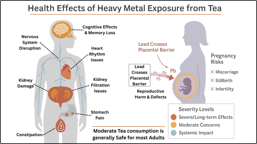 Health Effects of Heavy Metals In Tea